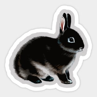 Black Otter Netherland Dwarf Rabbit Bunny Sticker